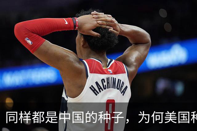 同样都是中国的种子，为何美国种出的水稻，亩产要比中国高？