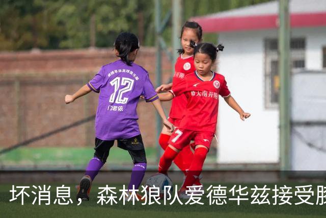 坏消息，森林狼队爱德华兹接受膝关节镜手术，将缺席两个月