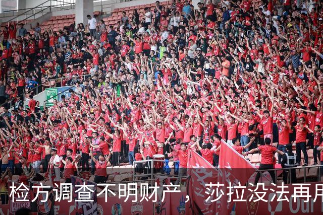 检方调查不明财产，莎拉没法再用“政治迫害”一笔带过