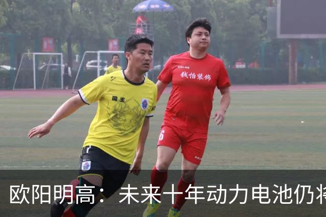 欧阳明高：未来十年动力电池仍将以磷酸铁锂为主，半固态电池不能与全固态混为一谈