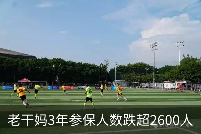 老干妈3年参保人数跌超2600人