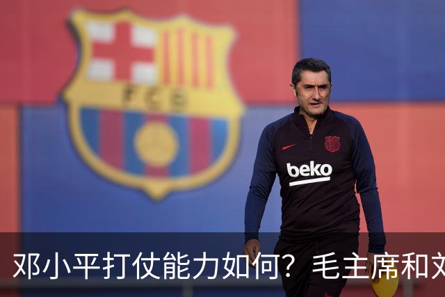 邓小平打仗能力如何？毛主席和刘伯承分别怎么评价他的表现？